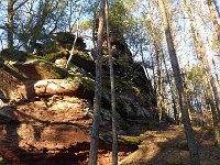 SORTIE CHATEAU FALKENSTEIN ROCHER DU FALKENBERG 08 02 2019 56